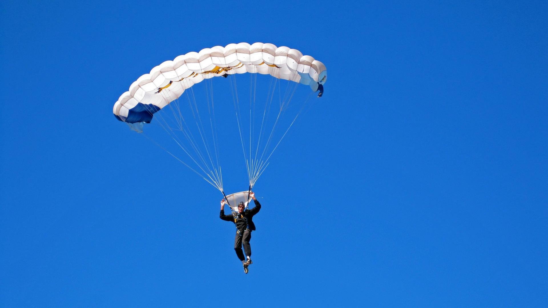开云体育官网-森林狼的狼性与F1赛道上的孤狼，当团队狩猎遇见个人极速