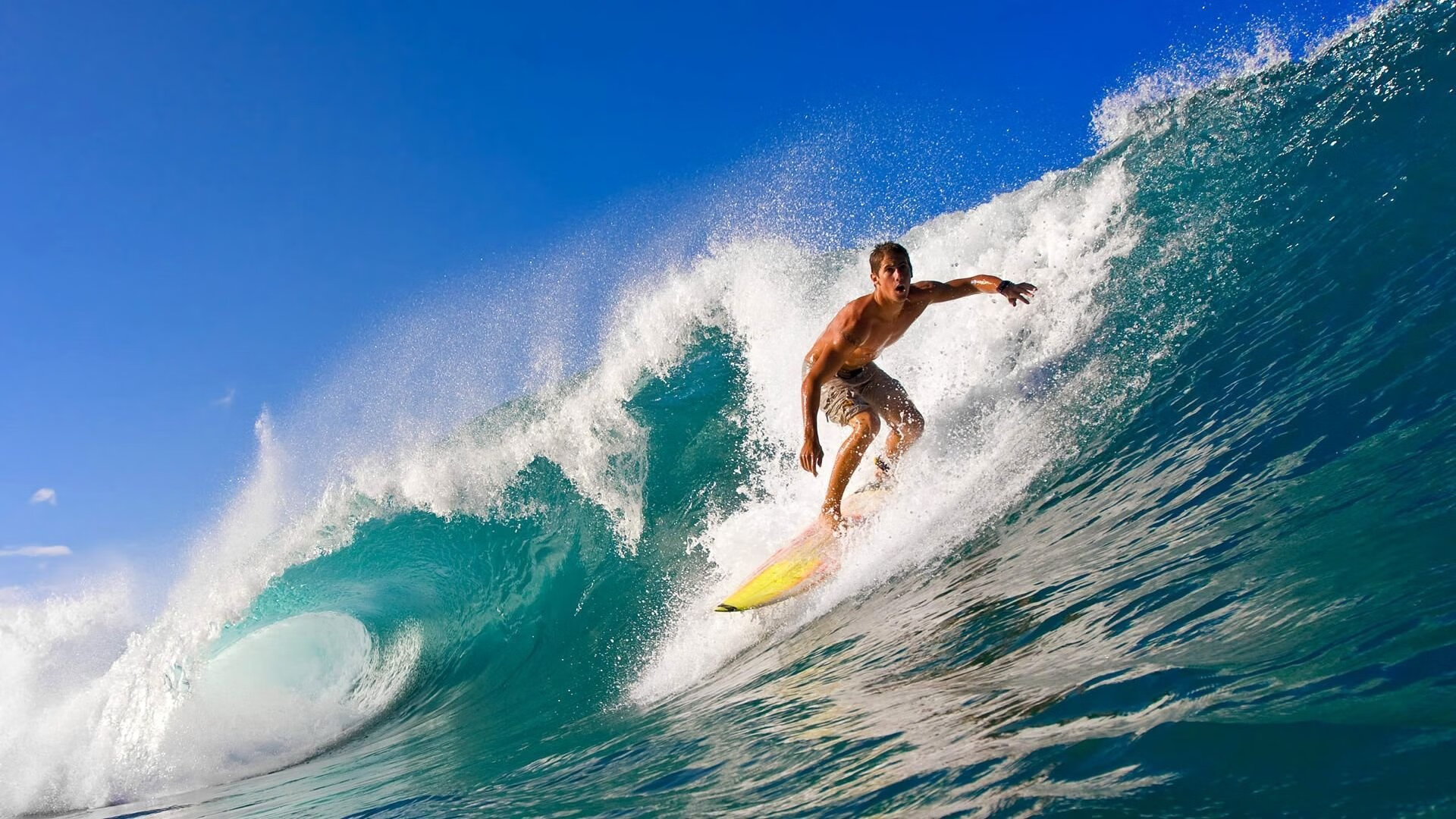 开云体育在线-2026世界杯之夜，卡马文加，在球场的裂缝中重建秩序  第2张